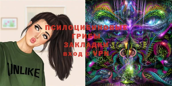 Альфа ПВП Алексин