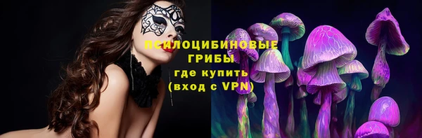 крисы Алексеевка