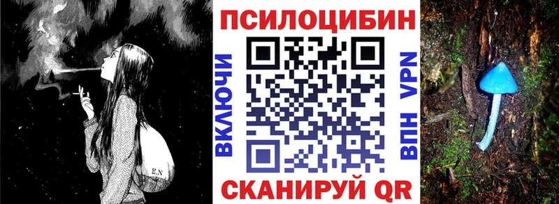 цены   Донецк  Галлюциногенные грибы GOLDEN TEACHER 