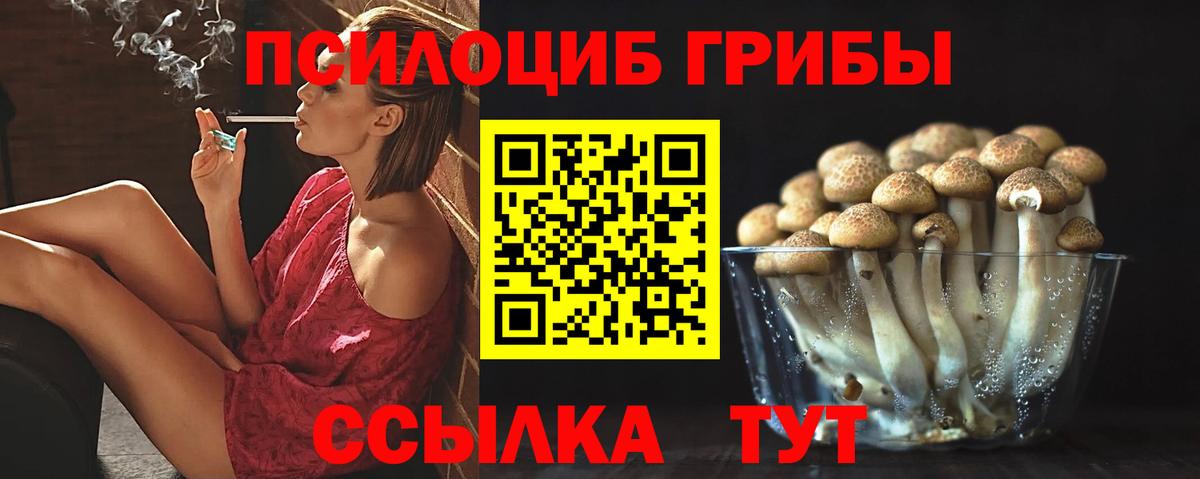 Галлюциногенные грибы мухоморы  Псилоцибиновые грибы мицелий  Донецк  Вход с VPN 