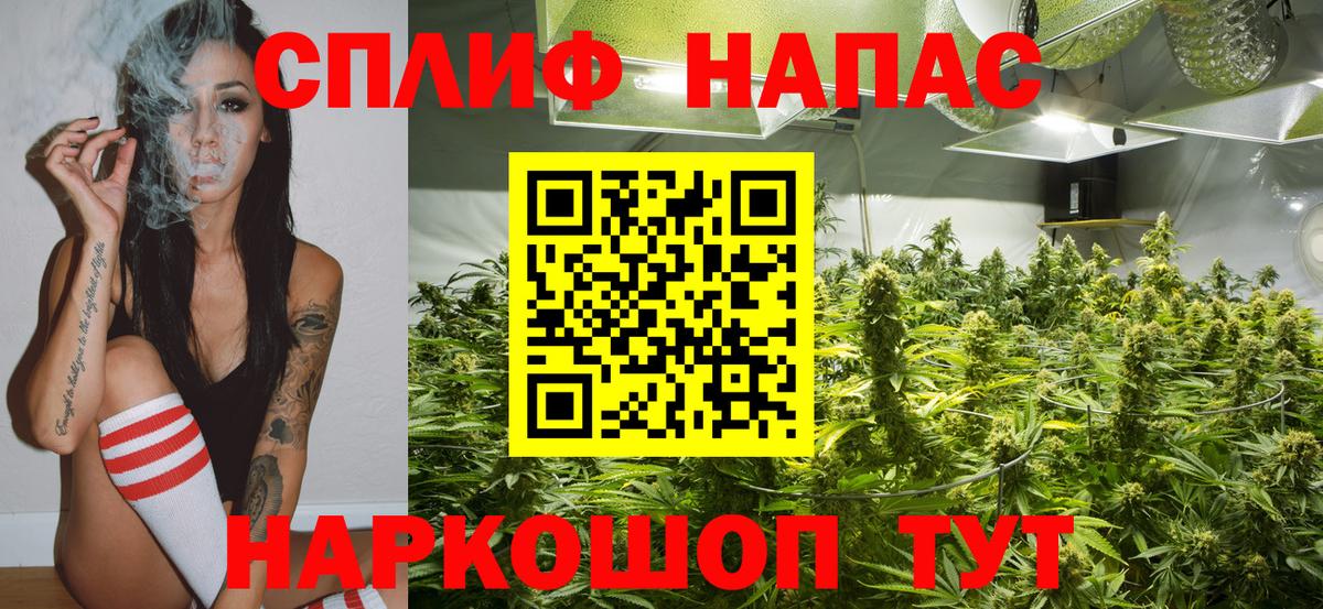 Каннабис сатива  Марихуана Ganja  Каннабис ГИДРОПОН  Донецк  Вход с VPN  Конопля SATIVA & INDICA 